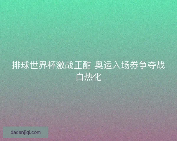 排球世界杯激战正酣 奥运入场券争夺战白热化